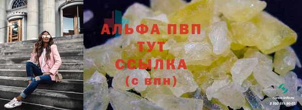 гидра Липки