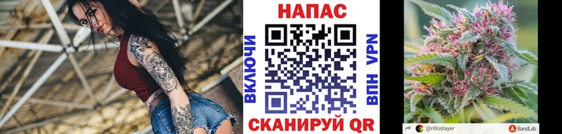 Марихуана OG Kush  Купить  Киселёвск 